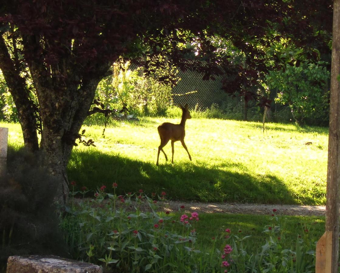Fermette Dans Les Pays De La Loire Villa Izé Kültér fotó