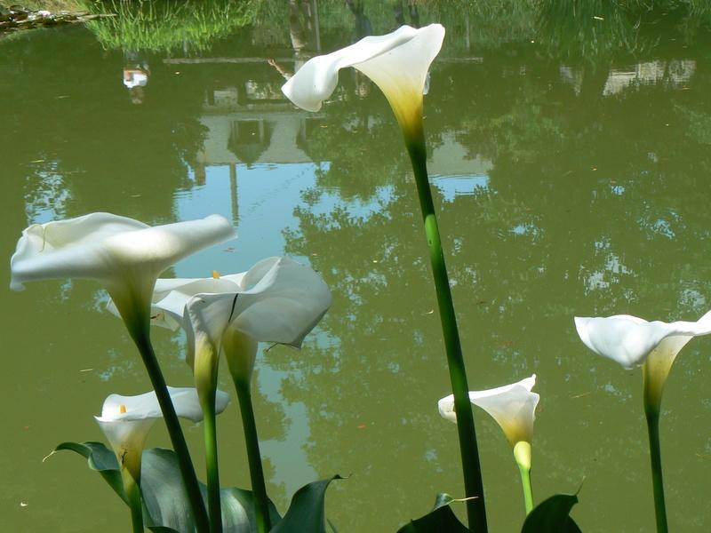 Fermette Dans Les Pays De La Loire Villa Izé Kültér fotó