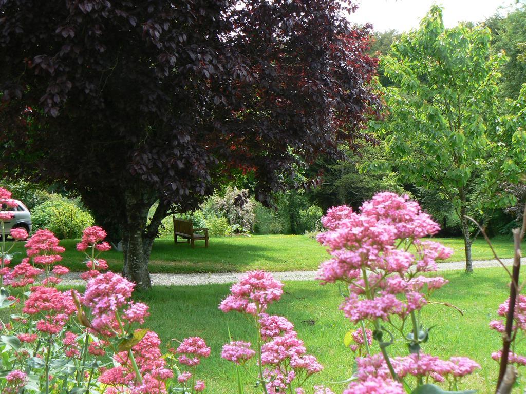 Fermette Dans Les Pays De La Loire Villa Izé Kültér fotó